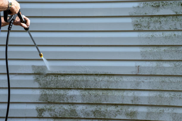 Best Siding Removal and Disposal  in South Henderson, NC