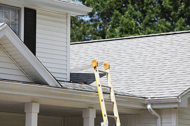 Best Brick Veneer Siding  in South Henderson, NC