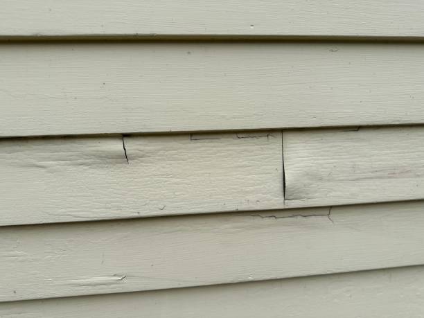 Best Custom Siding Design  in South Henderson, NC